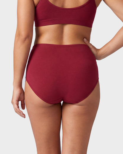4 Pack Swan Embroidery High Waist Seamless Briefs