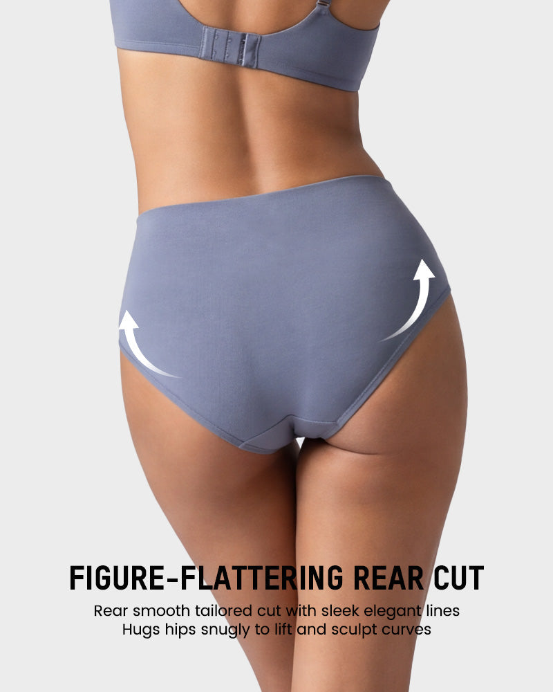 4 Pack Swan Embroidery High Waist Seamless Briefs