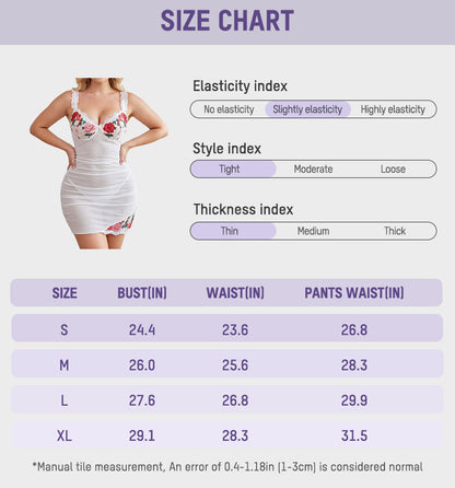 Sheer Mesh Lace Embroidered Babydoll Dress
